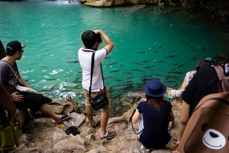 skin-eating fish at erawan falls in kanchanaburi Thailand