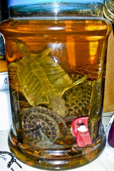 Dead Animal Alcohol Dead Animal Liquor China