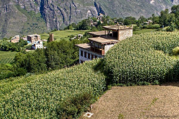 Fields Zhonglu Village