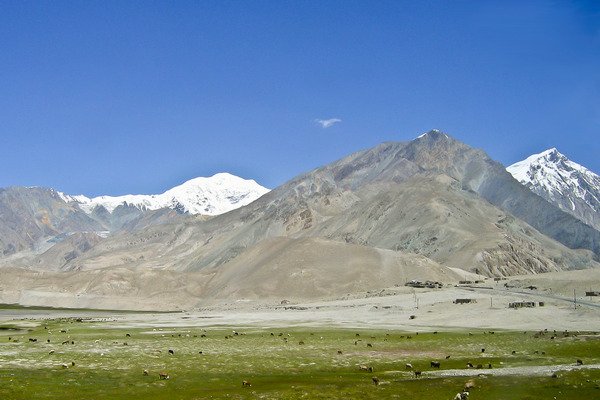 Goats Road to Karakul