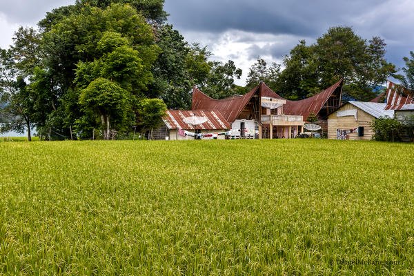 Batak farm house on Samosir Island Lake Toba